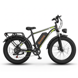 RS11 fat tire electric scooter