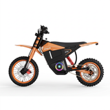 MT12 electric dirt bike