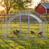 Walk-in chicken coop with hens on a backyard farm