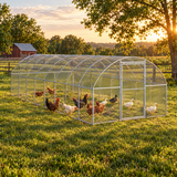 Large chicken run with chickens in a farmhouse backyard
